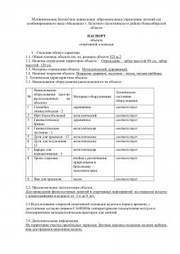 Паспорт спортивной площадки